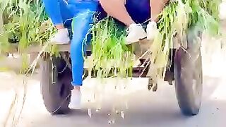 Bhaas ko nhi diya chara ---- _ comedy _ shorts _funny _comedy _shorts