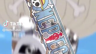 How big is the one piece world