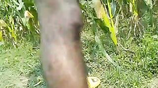 Ms jahid can from Bangladesh