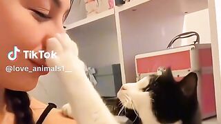 Funny vidéo