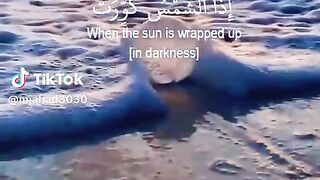 الشيخ القارئ عبد الباسط عبد الصمد
