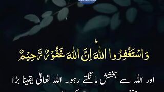 Beautiful Quran Reaction ID MrNadeem7258