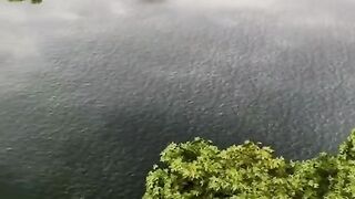 Unbelievable video
