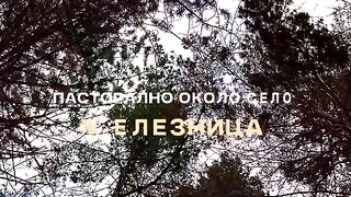 ПАСТОРАЛНО ОКОЛО СЕЛО ЖЕЛЕЗНИЦА