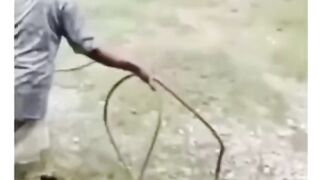 Kelucuan Hewan bersama Manusia