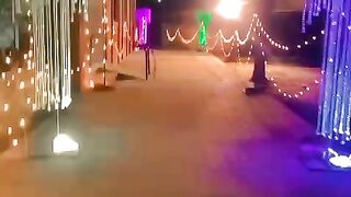 Shadi