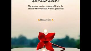 Best Pretty Urdu