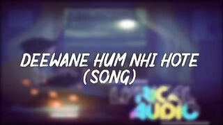 Deewane Hum Nahi Hote (Slow and Reverb) _ Lofi _ Hindi - (Slow and Reverb) songs _ Lyrical Audio