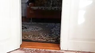 My cat