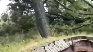 فيديو