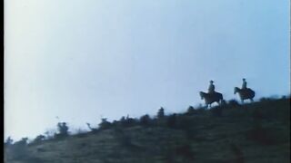 WILLSONNETTD2 -  Movie 11 1