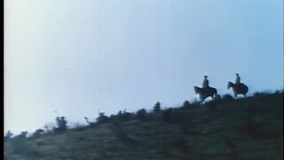 WILLSONNETTD2  - Movie 11 2