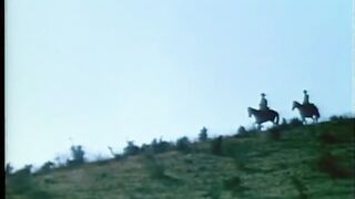 WILLSONNETTD2 -  Movie 11 7