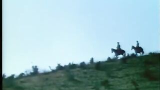 WILLSONNETTD3 -  Movie 12 1