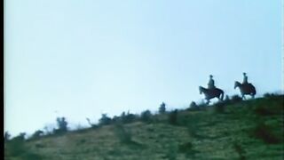 WILLSONNETTD3  - Movie 12 2