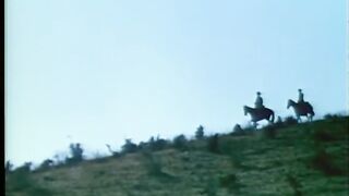 WILLSONNETTD3 -  Movie 12 4