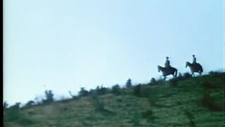 WILLSONNETTD3 -  Movie 12 5