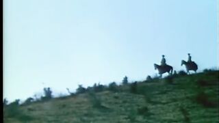 WILLSONNETTD3 -   Movie 12 6