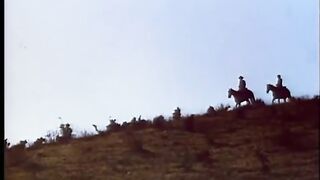 WILLSONNETTD3 -  Movie 12 9
