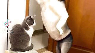 #funny #dog