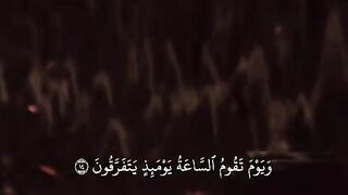 مقاطع