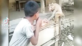 #funny #ضحك
