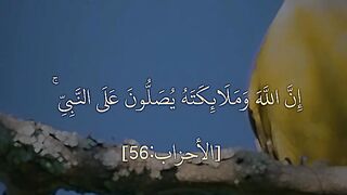 محمد رسول الله
