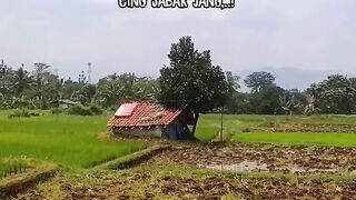 Quotes life