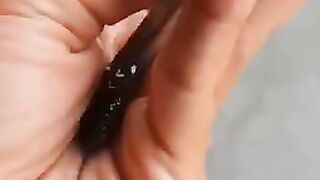 Ada yang tau ikan lele ini kena penyakit apa❓