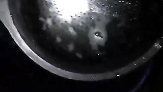 Sortir larva lele umur 20 hari kebawah paling aman malam hari