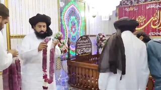 TLP leader love