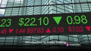 Forex Trading 101: A Comprehensive Beginner's Guide
