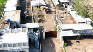 Greyhound Kennal | Dogs Kennel | pets Kennel #kennel #doghoume #viral