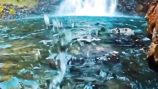 Deep water cooler
