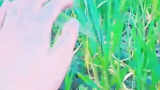 Village video