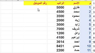 مهارة للمبدعين _ كتابة ارقام الموبايلات و ظهور الزيرو في برنامج اكسيل