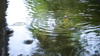 Very beautiful water drop desi lvogs