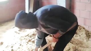 Prank