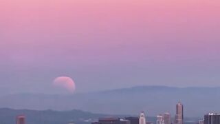 Beautiful natural videos