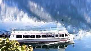 Beautiful natural videos