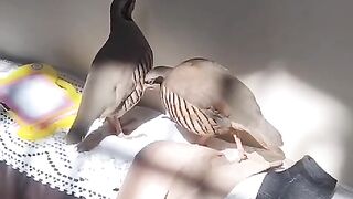 Both are beautiful