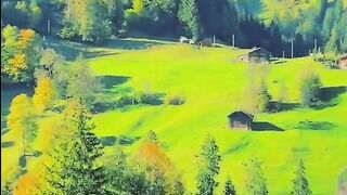 Beautiful natural videos