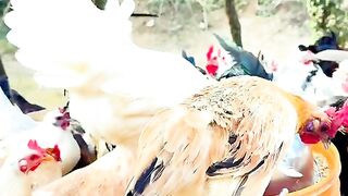 My Best videos