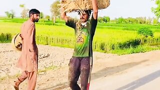 Hor la panga funny ????????????????????#punjab funny #Usa Punjabi funny #viral #viralshorts #comedy