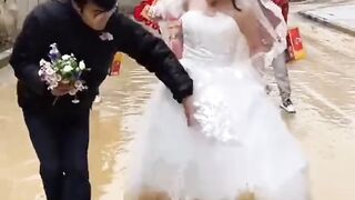Entertainment video