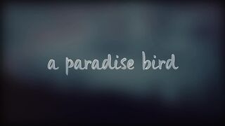 Let Me Down Slowly | Best English Song | English Sad Song.