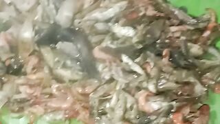 Local fish