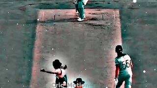 Cricket Lovers ????#sports #cricket #shorts #viral #trending