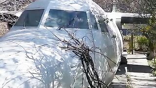 The infante's Plane