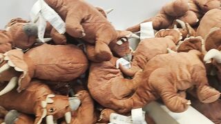 The Animal Doll So Cute!!!